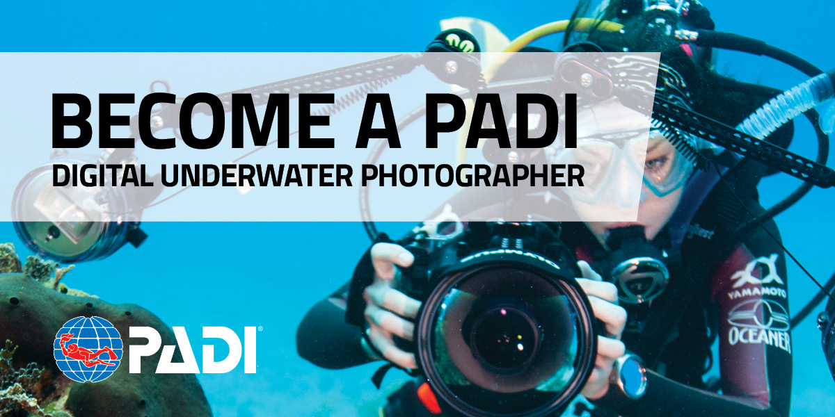 Become a PADI Digital Underwater Photographer
