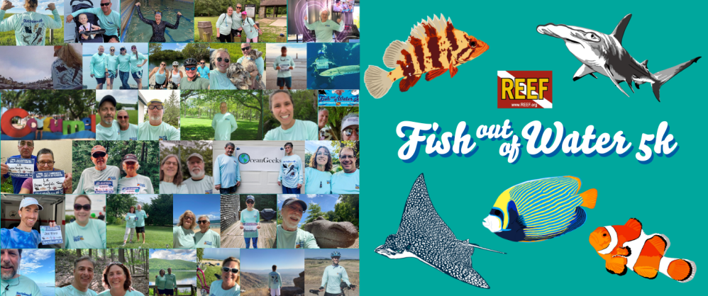 Join The 2023 Reef Fish Out Of Water 5k!