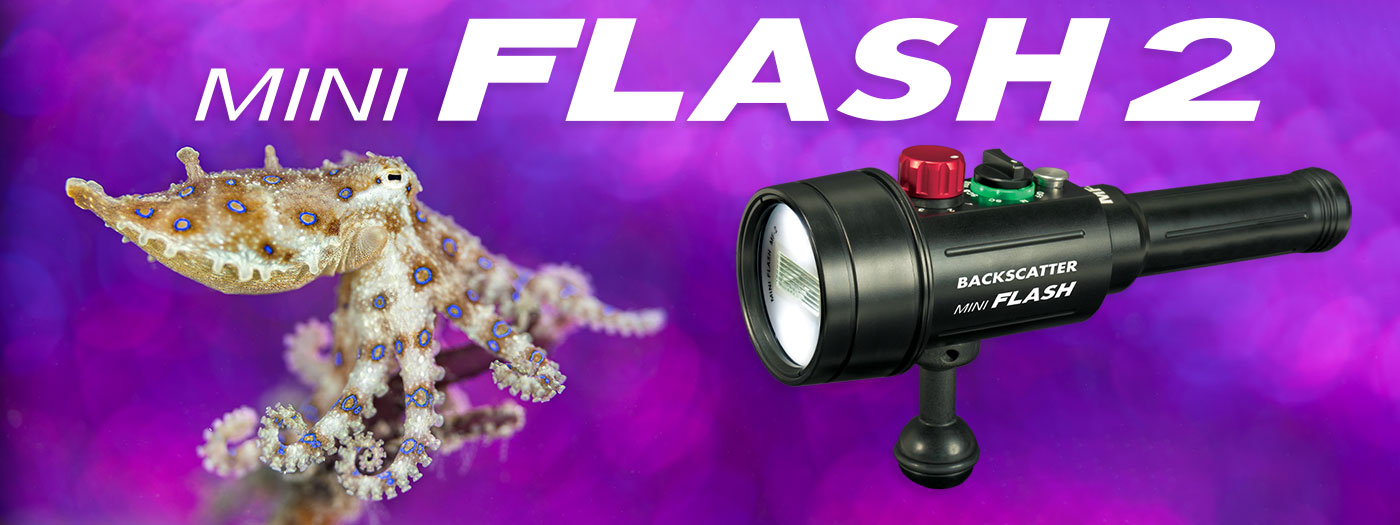 A Winning Combination: Backscatter's Mini Flash 2, Optical Snoot Os-1 And Muck Stick