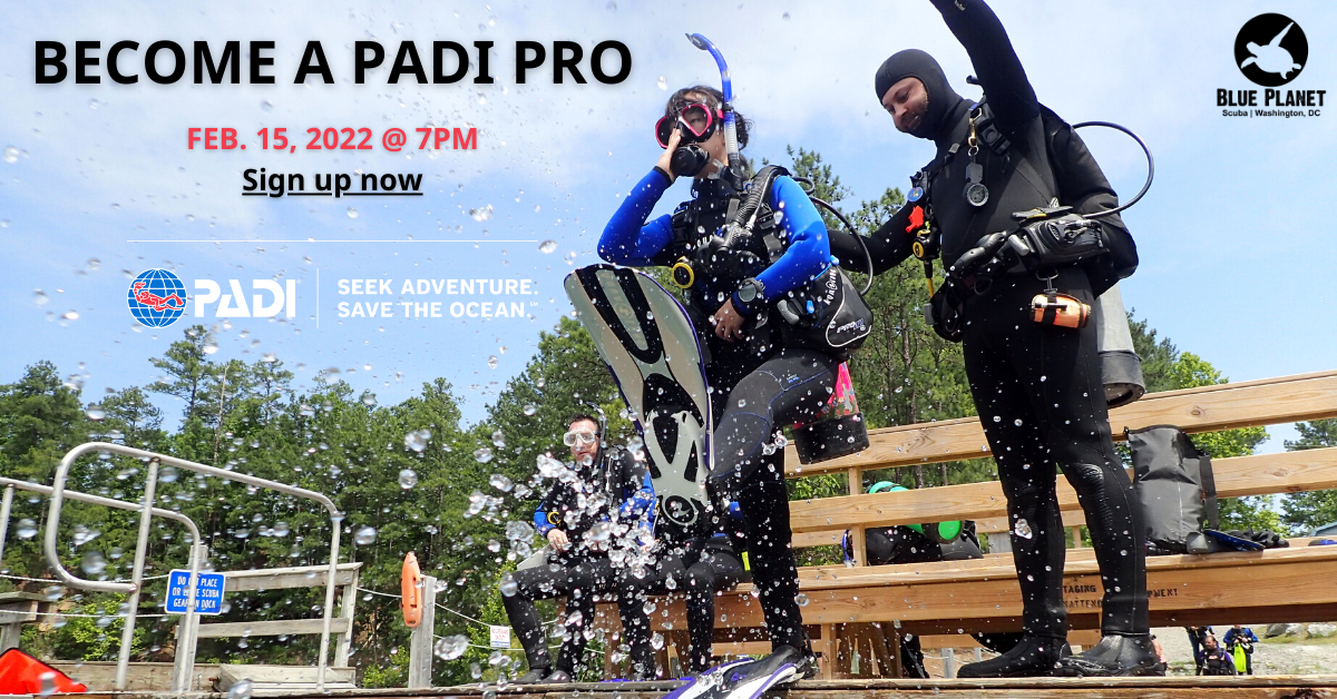 Learn How To Become A Padi Pro On February 15!