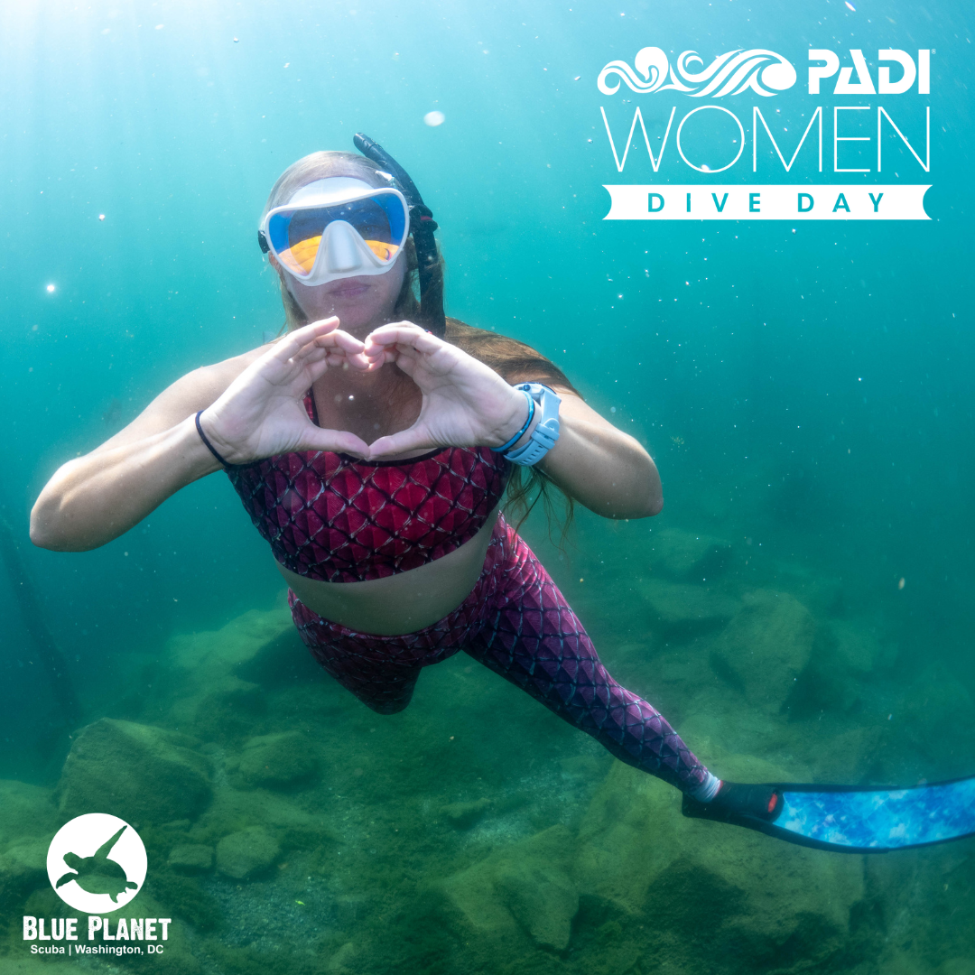 Join Jen at Lake Phoenix for Blue Planet Women's Dive Day