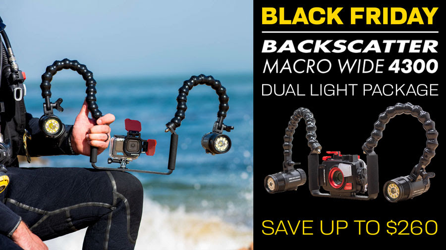 Black Friday: Save on Backscatter dual light system