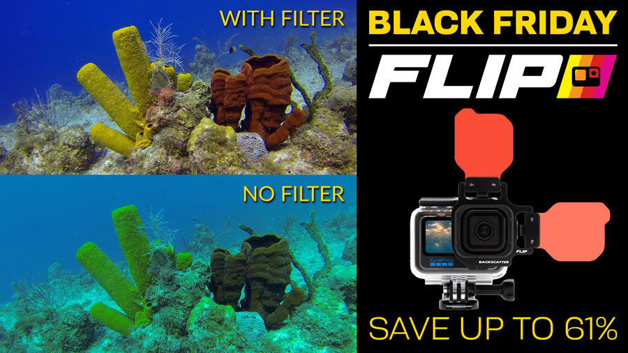 Black Friday Sale: Save on Flip Filters for GoPro
