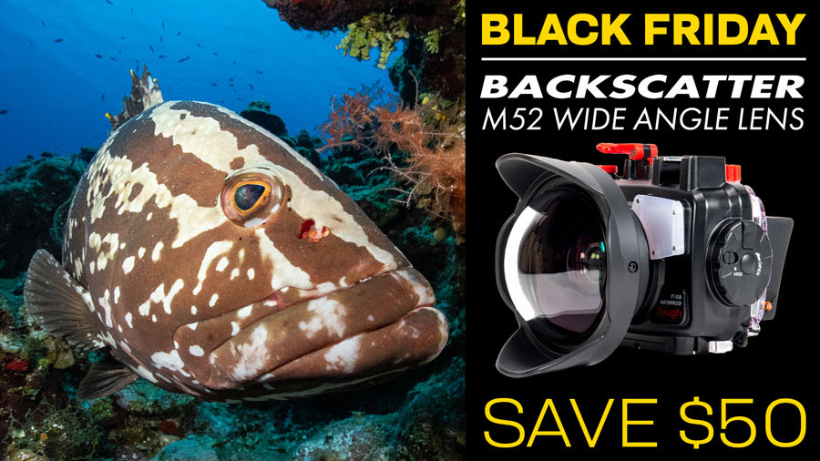 Black Friday: Save on Backscatter M52 wide angle lens