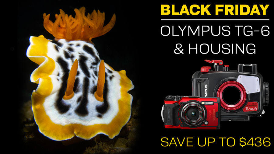 Black Friday: Save on the Olympus TG-6 and housing