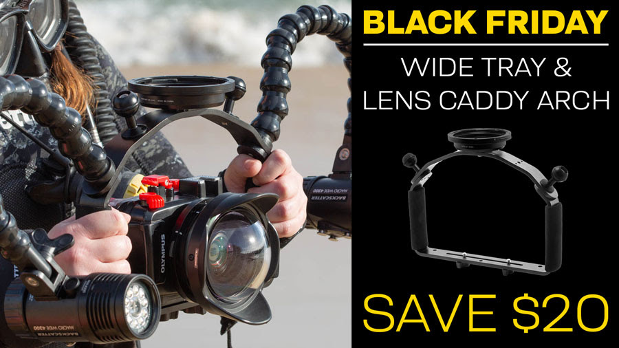 Black Friday: Save on Backscatter tray and lens caddy